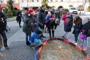 11 edycja "Serce z monet" @ Rynek 1