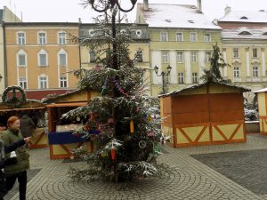 Charytatywna Majówka z"DAMY RADĘ"