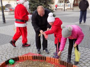 11 edycja "Serce z monet" @ Rynek 1