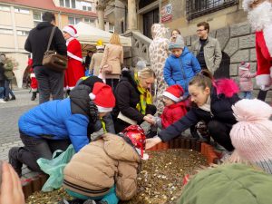 11 edycja "Serce z monet" @ Rynek 1