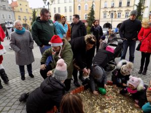 11 edycja "Serce z monet" @ Rynek 1