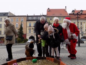 11 edycja "Serce z monet" @ Rynek 1