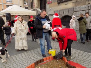 11 edycja "Serce z monet" @ Rynek 1