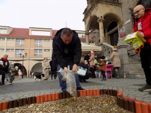 11 edycja "Serce z monet" @ Rynek 1