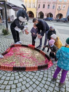 11 edycja "Serce z monet" @ Rynek 1