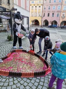 11 edycja "Serce z monet" @ Rynek 1