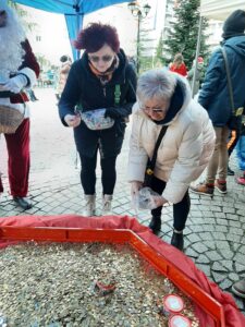 11 edycja "Serce z monet" @ Rynek 1